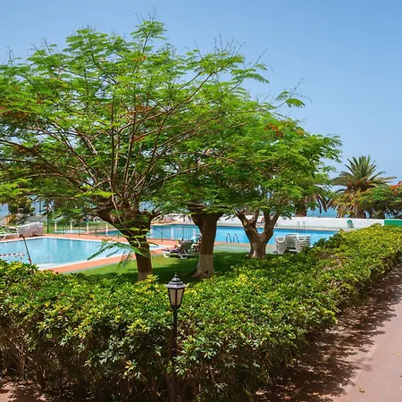 Go2tenerife Apart'ludo Pool & First Line Of The Sea Apartment Los Cristianos (Tenerife)